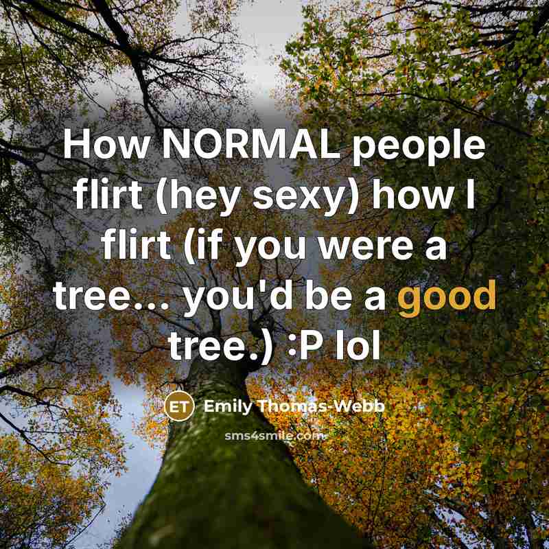 “How NORMAL people flirt (hey sexy) how I flirt (if…” quote by Emily Thomas-webb