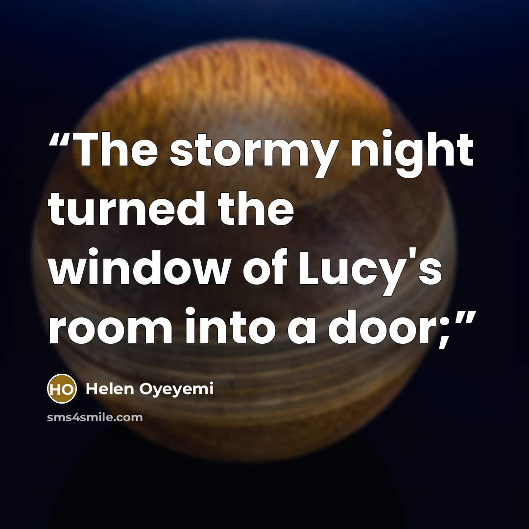 “The stormy night turned the window of Lucy's room into a door;” quote by Helen Oyeyemi