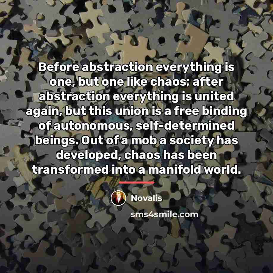 “Before abstraction everything is one, but one like chaos; after…” quote by Novalis