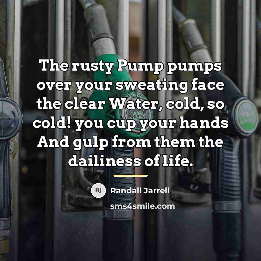 “The rusty Pump pumps over your sweating face the clear…” quote by Randall Jarrell