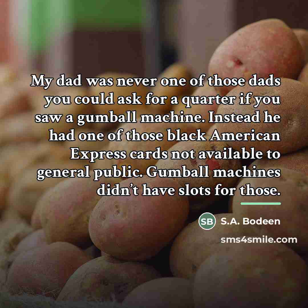 “My dad was never one of those dads you could…” quote by S.A. Bodeen