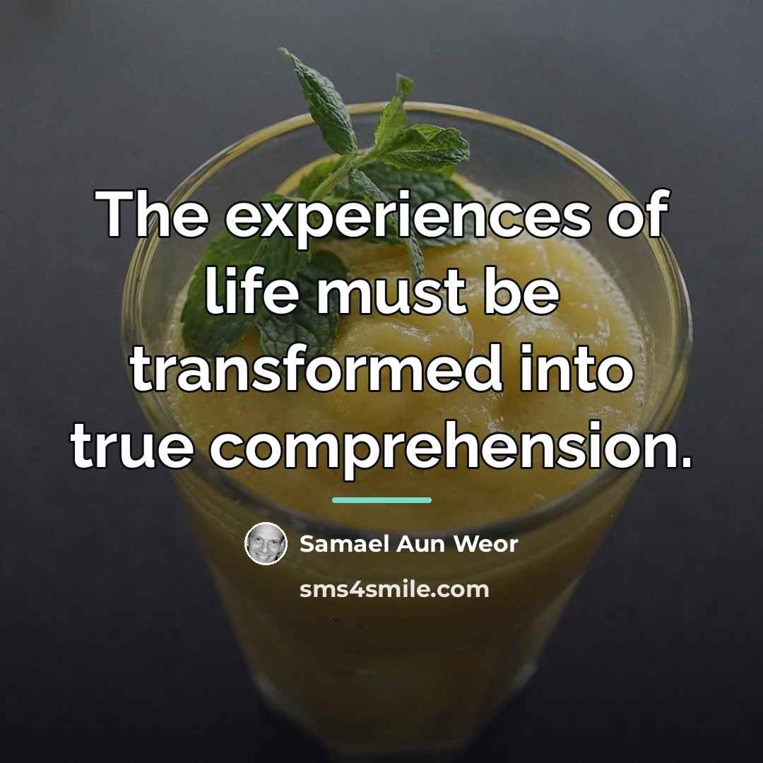 “The experiences of life must be transformed into true comprehension.…” quote by Samael Aun Weor