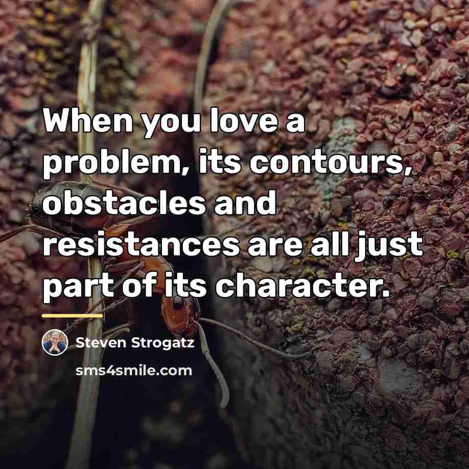 “When you love a problem, its contours, obstacles and resistances…” quote by Steven Strogatz