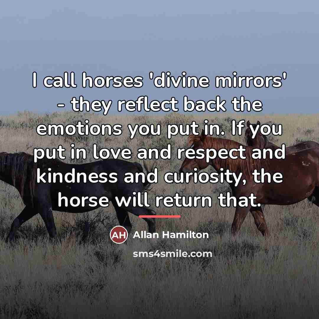 “I call horses 'divine mirrors' - they reflect back the…” quote by Allan Hamilton