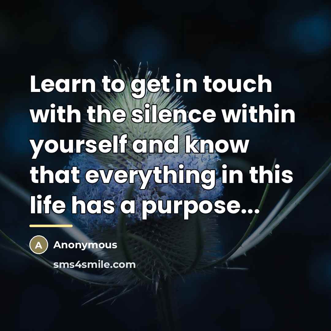 “Learn to get in touch with the silence within yourself…” quote by Anonymous