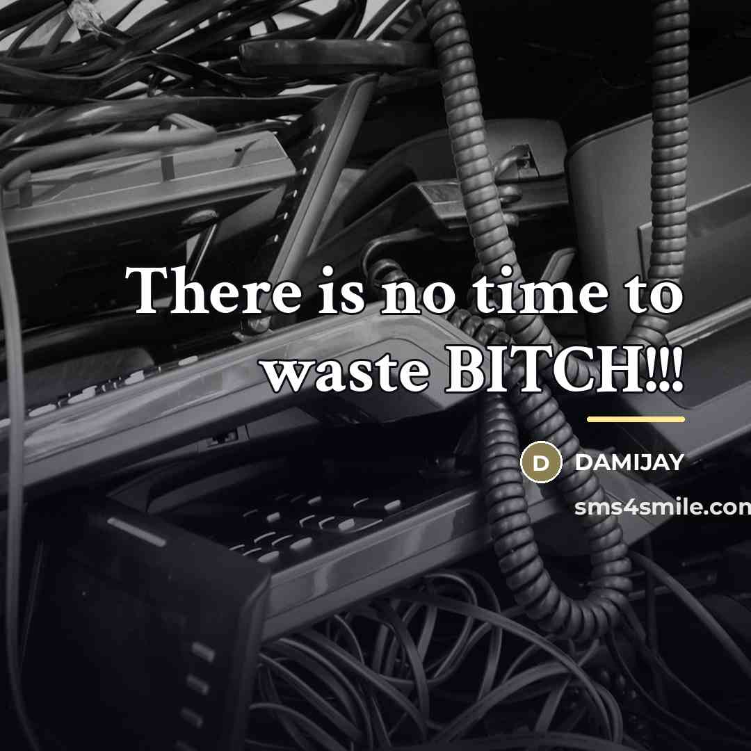 “There is no time to waste BITCH!!!…” quote by Damijay