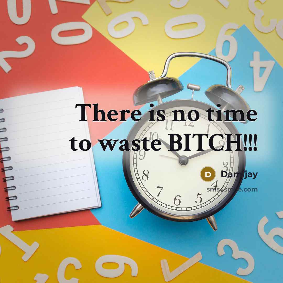 “There is no time to waste BITCH!!!” quote by Damijay