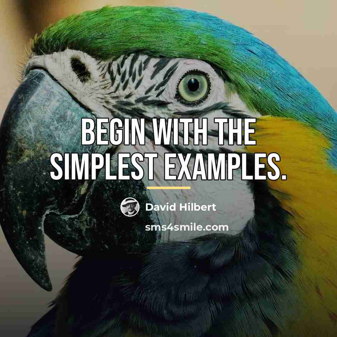 “Begin with the simplest examples.…” quote by David Hilbert