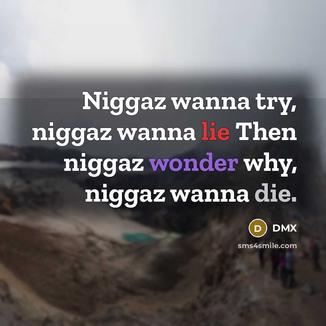 “Niggaz wanna try, niggaz wanna lie Then niggaz wonder why, niggaz wanna die.” quote by Dmx