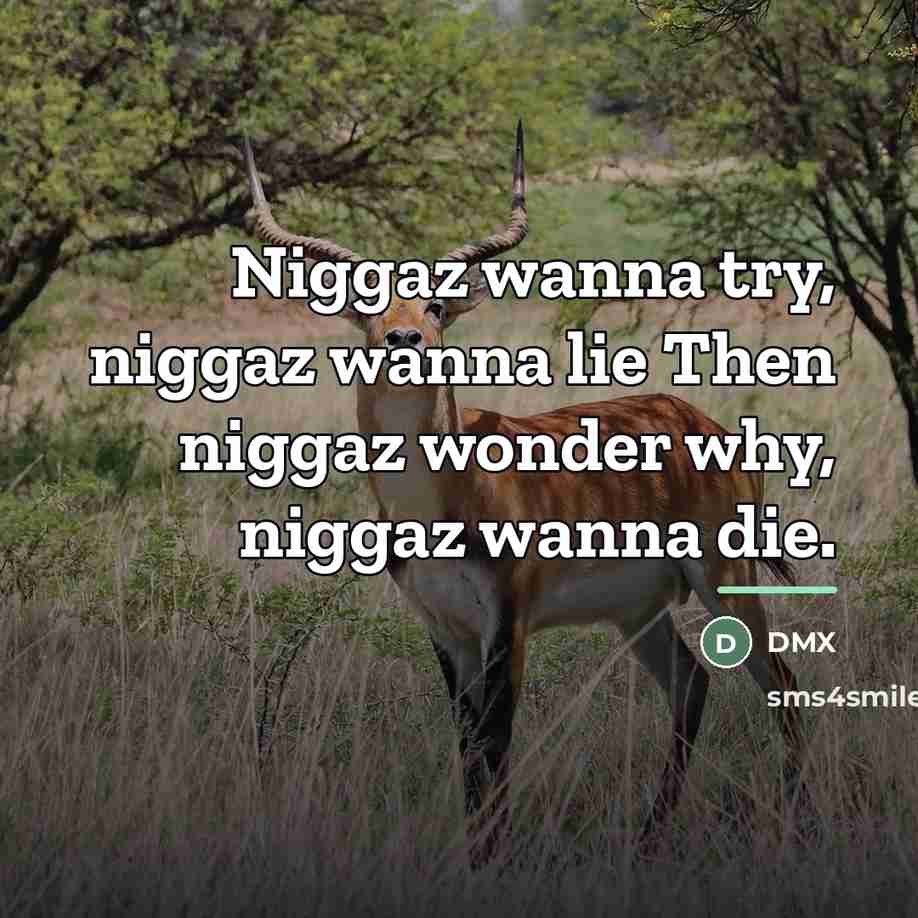 “Niggaz wanna try, niggaz wanna lie Then niggaz wonder why,…” quote by Dmx