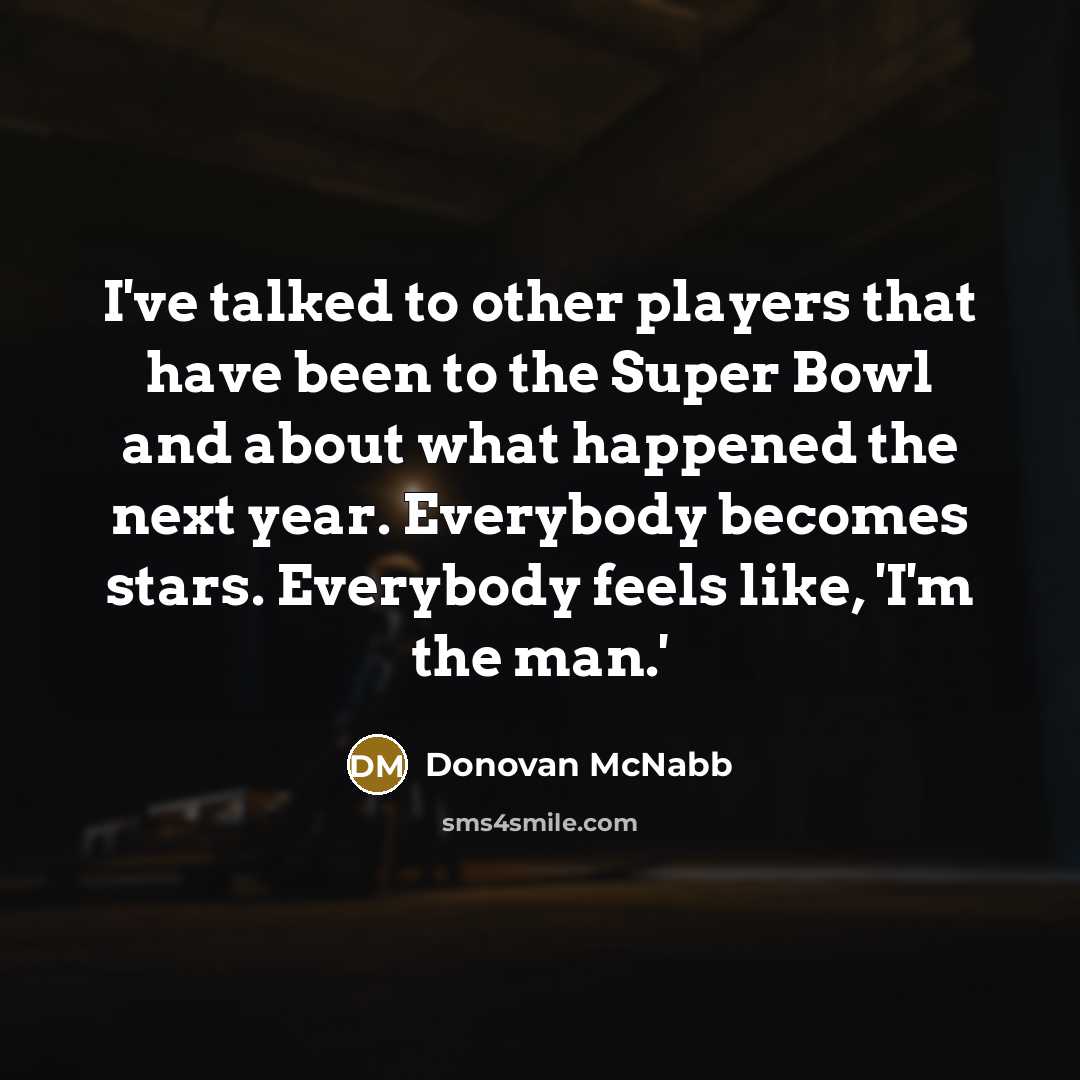“I've talked to other players that have been to the…” quote by Donovan McNabb