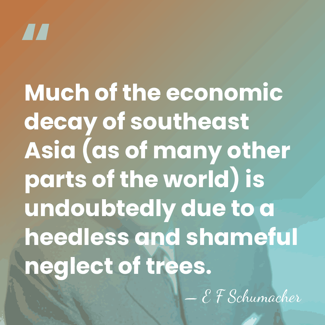 Much of the economic decay of southeast Asia (as of many other&hellip; - E F Schumacher