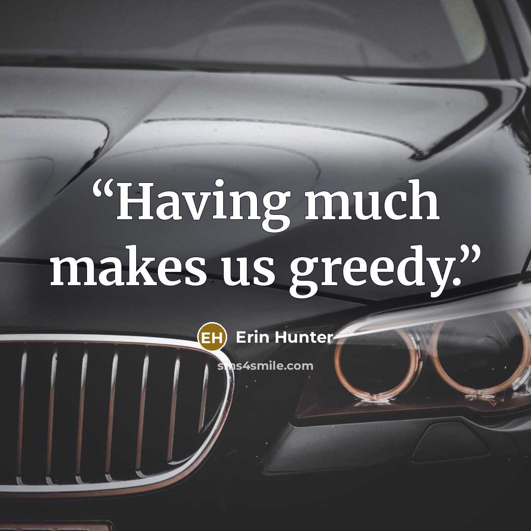 “Having much makes us greedy.” quote by Erin Hunter