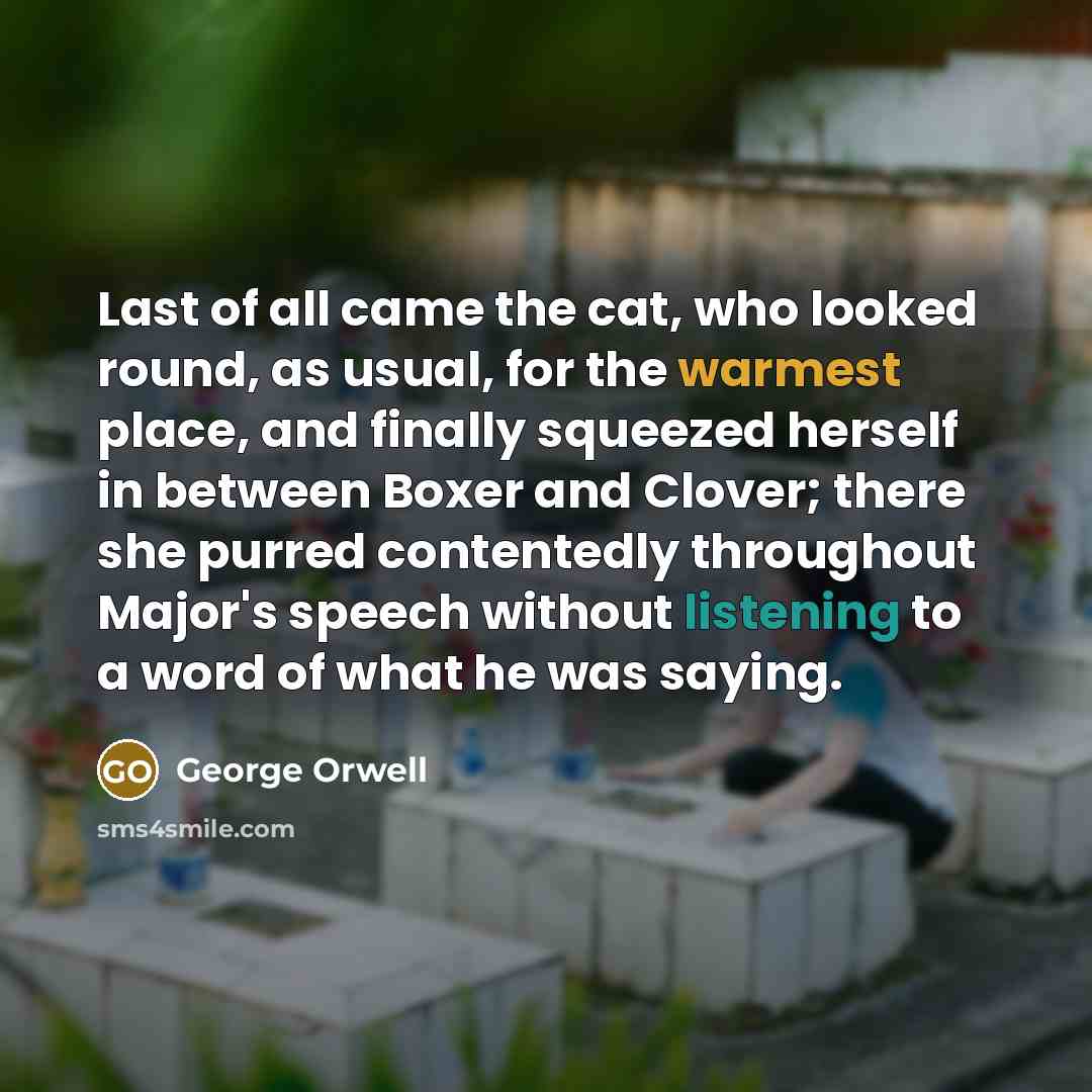“Last of all came the cat, who looked round, as…” quote by George Orwell