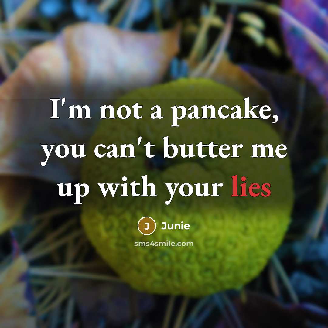 “I'm not a pancake, you can't butter me up with your lies” quote by Junie