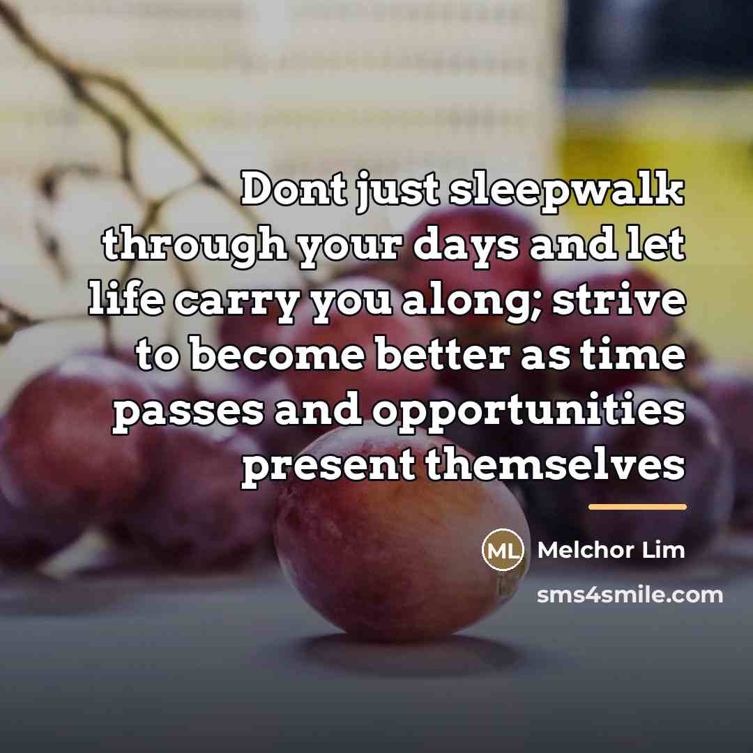 “Dont just sleepwalk through your days and let life carry…” quote by Melchor Lim