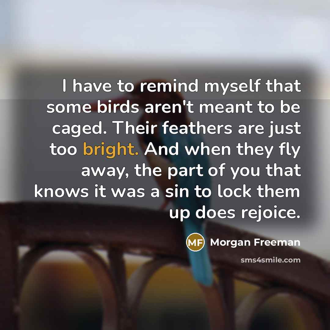 “I have to remind myself that some birds aren't meant…” quote by Morgan Freeman