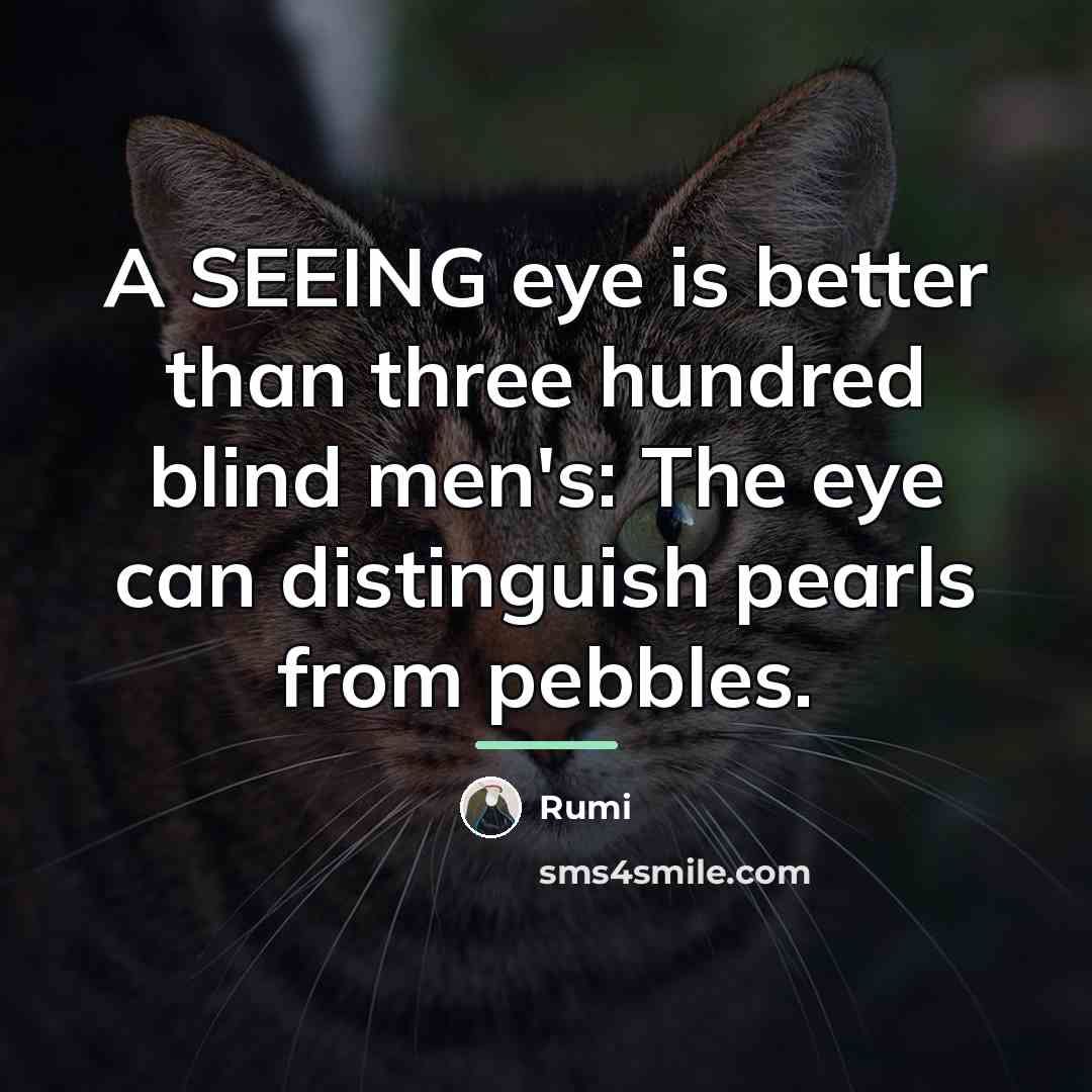 “A SEEING eye is better than three hundred blind men's:…” quote by Rumi