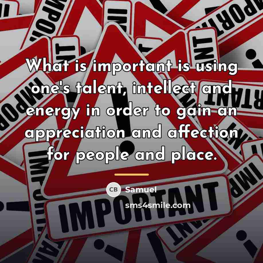 “What is important is using one's talent, intellect and energy…” quote by Samuel