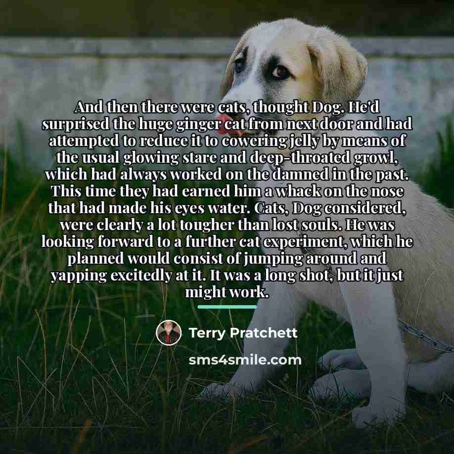 “And then there were cats, thought Dog. He'd surprised the…” quote by Terry Pratchett