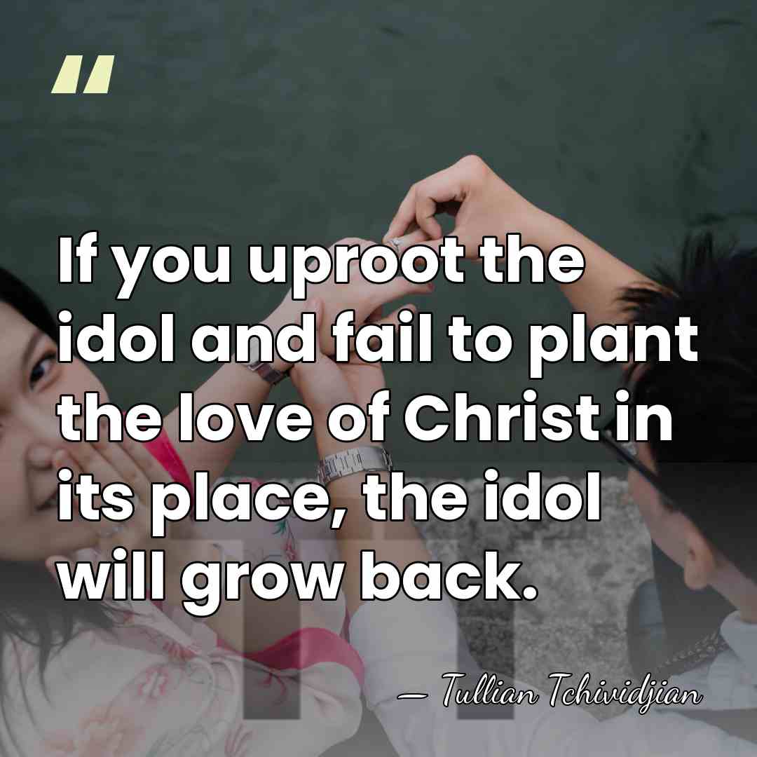 If you uproot the idol and fail to plant the love of&hellip; - Tullian Tchividjian