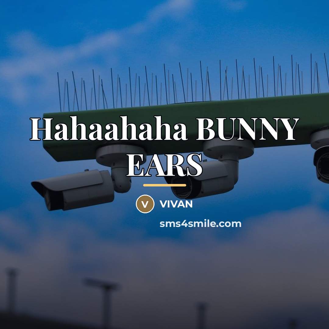 “Hahaahaha BUNNY EARS…” quote by VIVAN