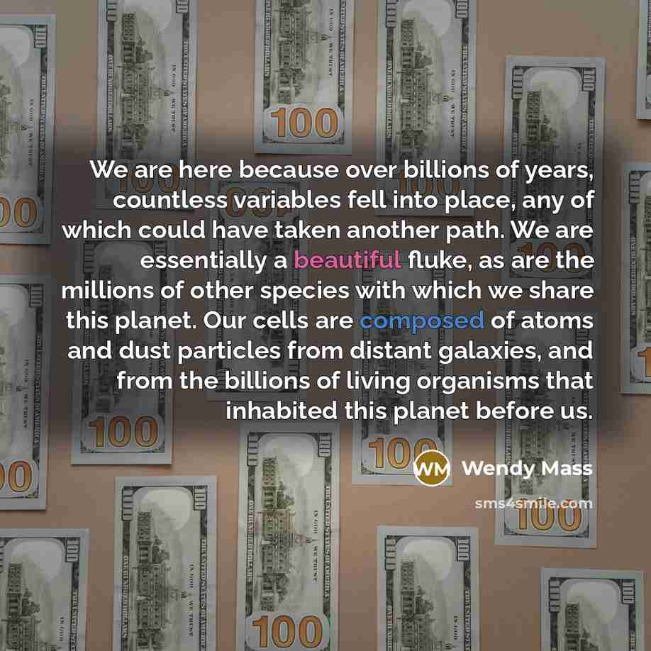 “We are here because over billions of years, countless variables…” quote by Wendy Mass