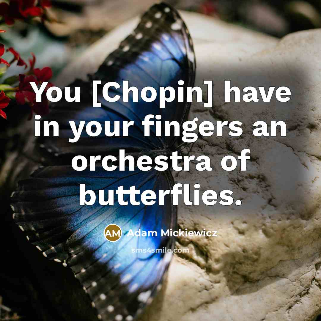 “You [Chopin] have in your fingers an orchestra of butterflies.” quote by Adam Mickiewicz