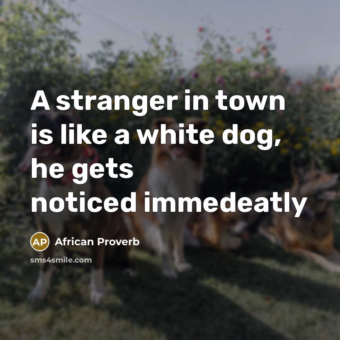 “A stranger in town is like a white dog, he…” quote by African Proverb
