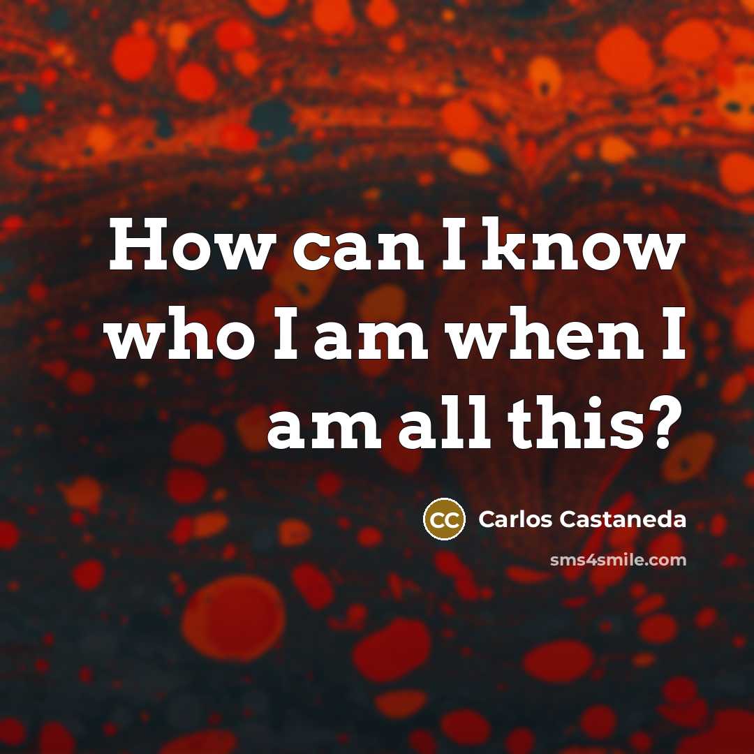 “How can I know who I am when I am…” quote by Carlos Castaneda