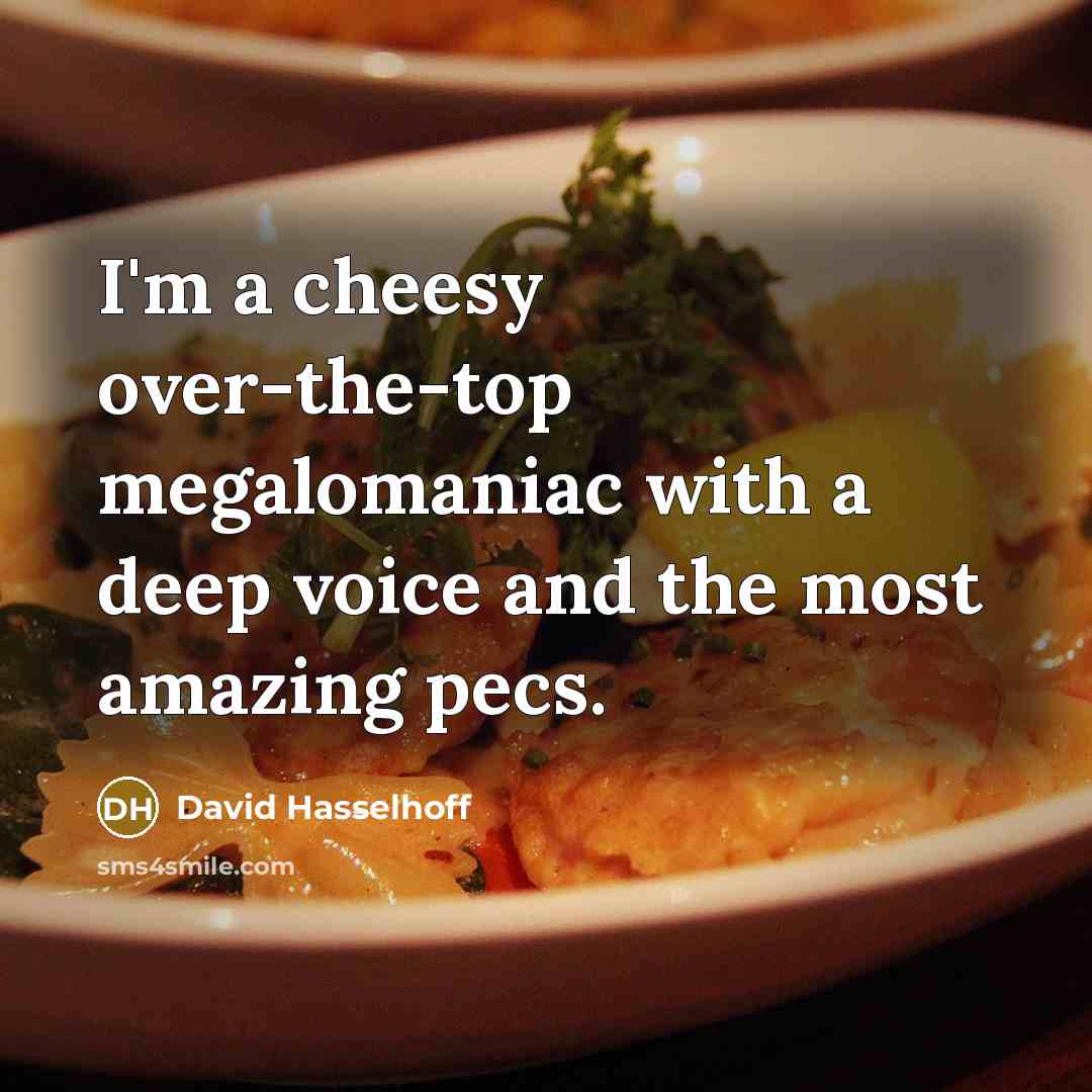 “I'm a cheesy over-the-top megalomaniac with a deep voice and…” quote by David Hasselhoff