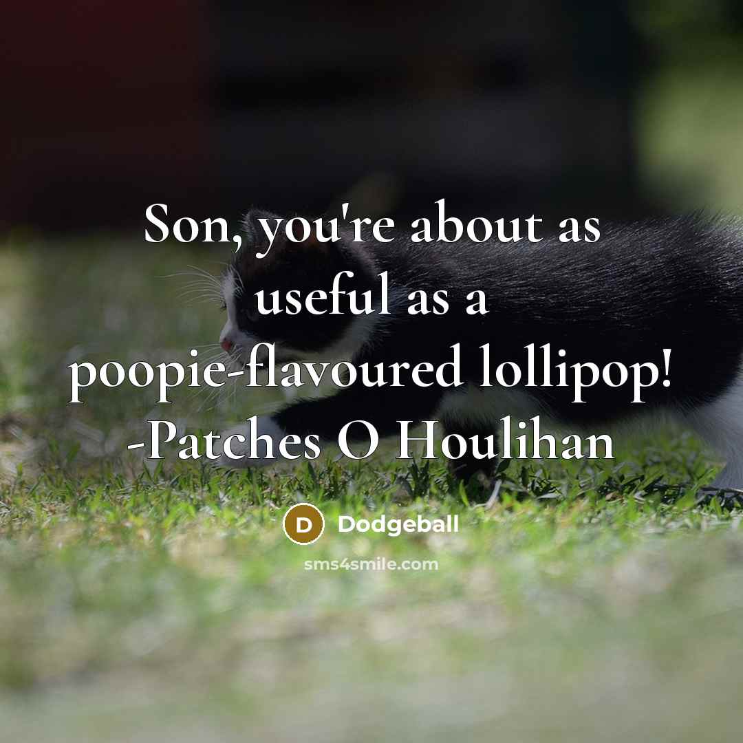 “Son, you're about as useful as a poopie-flavoured lollipop! -Patches O Houlihan” quote by Dodgeball