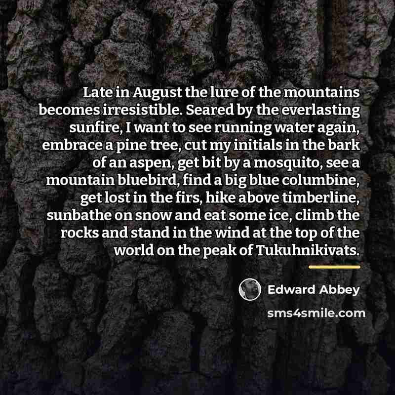 “Late in August the lure of the mountains becomes irresistible.…” quote by Edward Abbey
