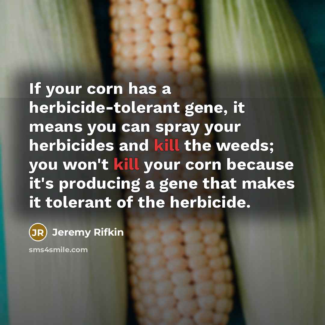 “If your corn has a herbicide-tolerant gene, it means you…” quote by Jeremy Rifkin