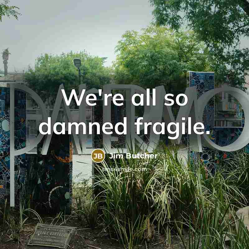 “We're all so damned fragile.…” quote by Jim Butcher