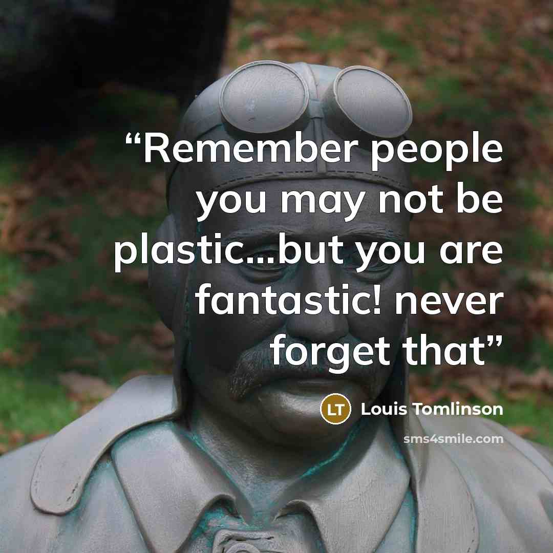 “Remember people you may not be plastic...but you are fantastic! never forget that” quote by Louis Tomlinson
