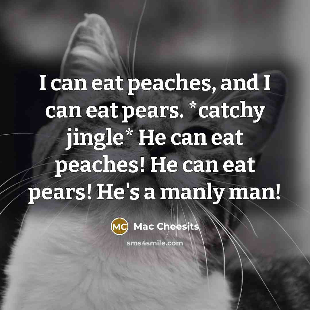 “I can eat peaches, and I can eat pears. *catchy…” quote by Mac Cheesits