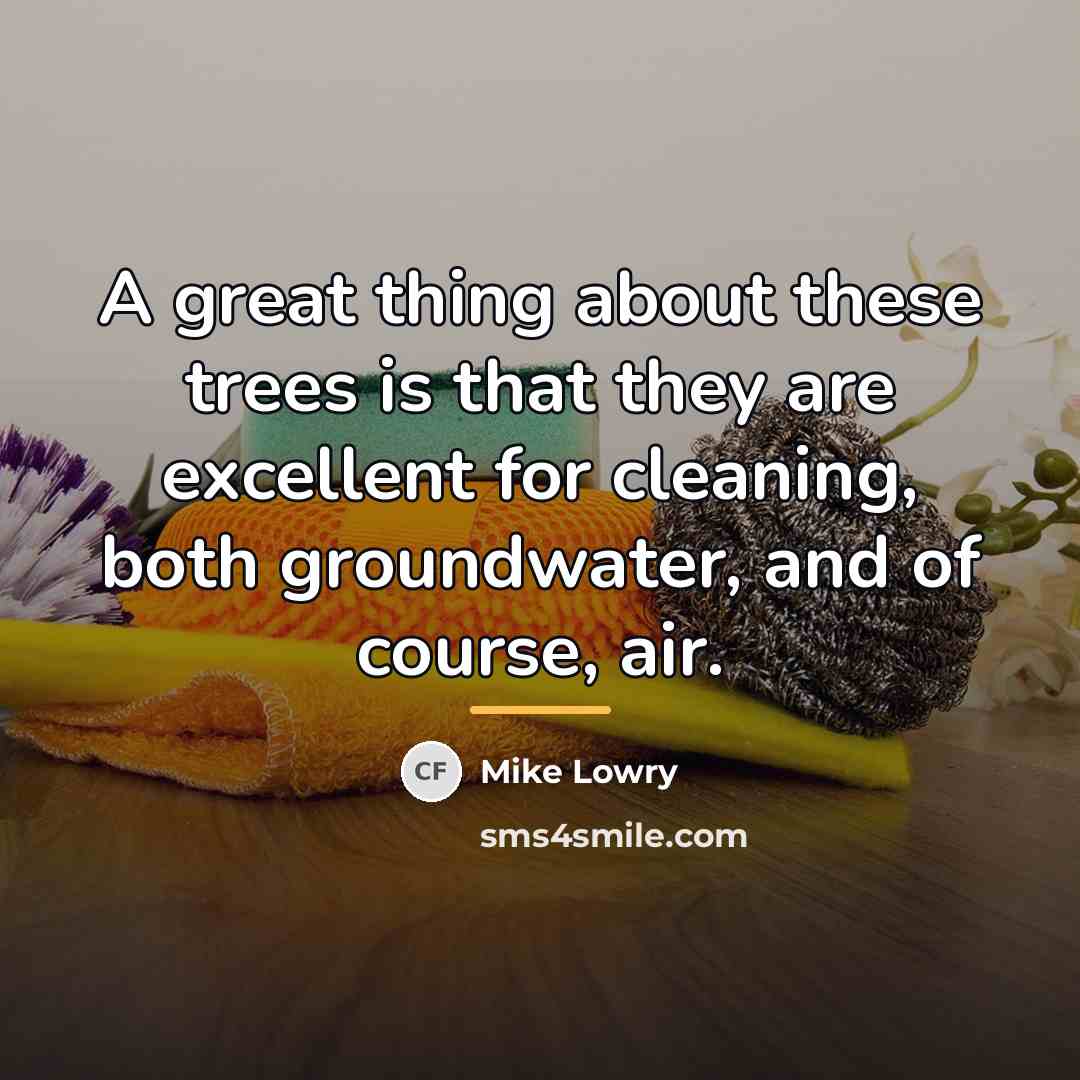 “A great thing about these trees is that they are…” quote by Mike Lowry