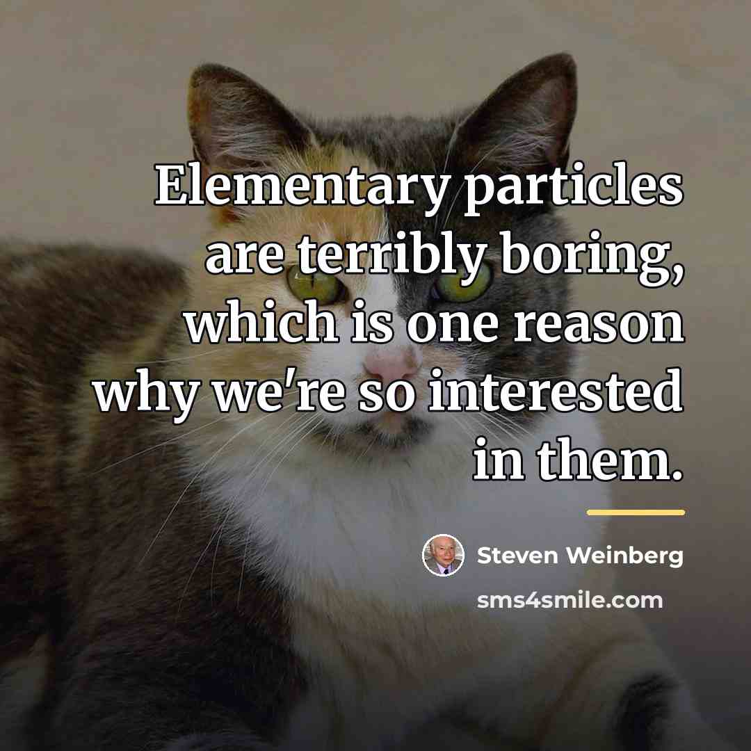 “Elementary particles are terribly boring, which is one reason why…” quote by Steven Weinberg