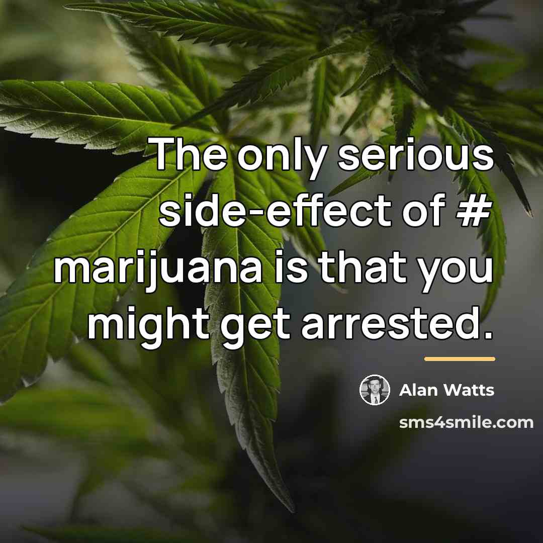“The only serious side-effect of # marijuana is that you…” quote by Alan Watts