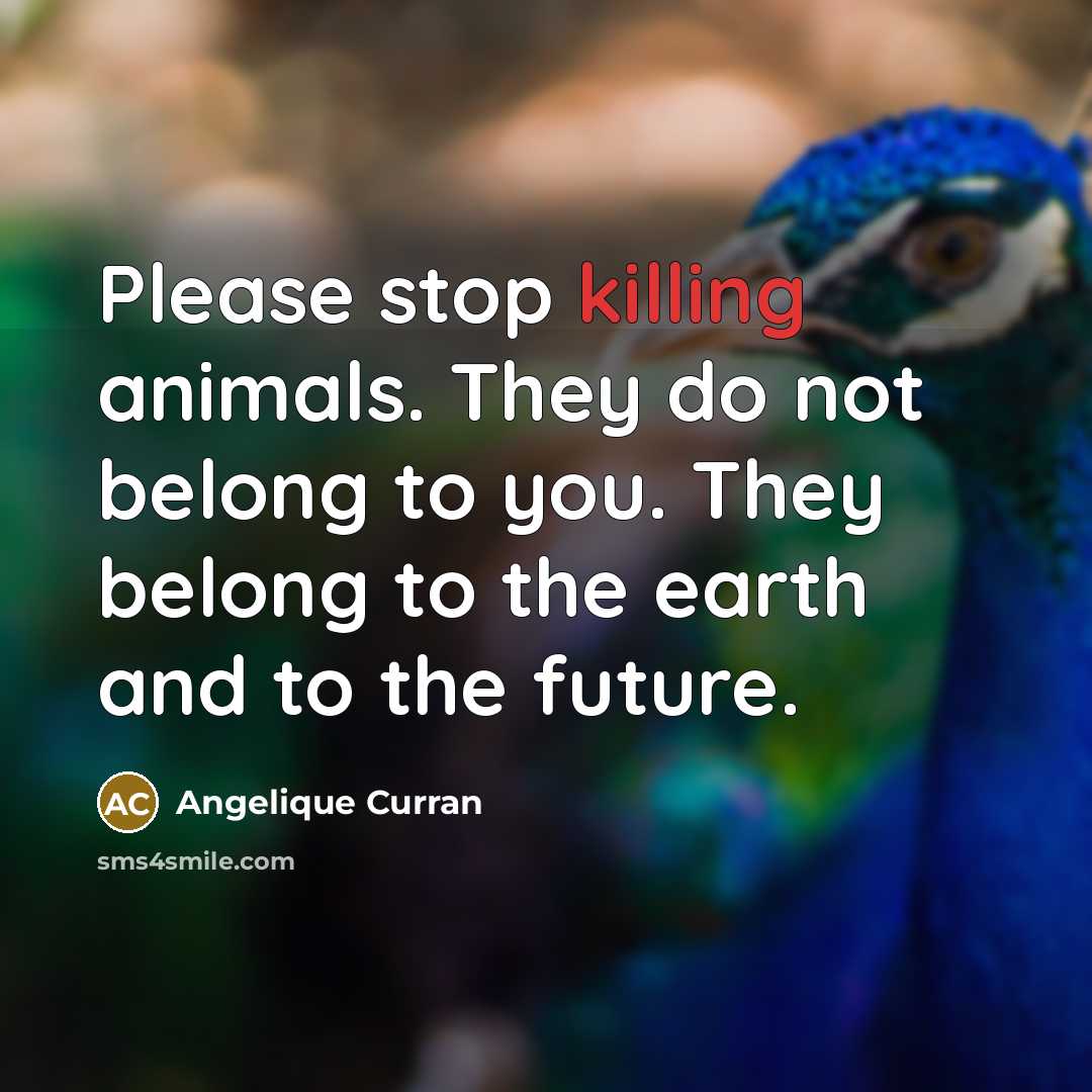 “Please stop killing animals. They do not belong to you.…” quote by Angelique Curran