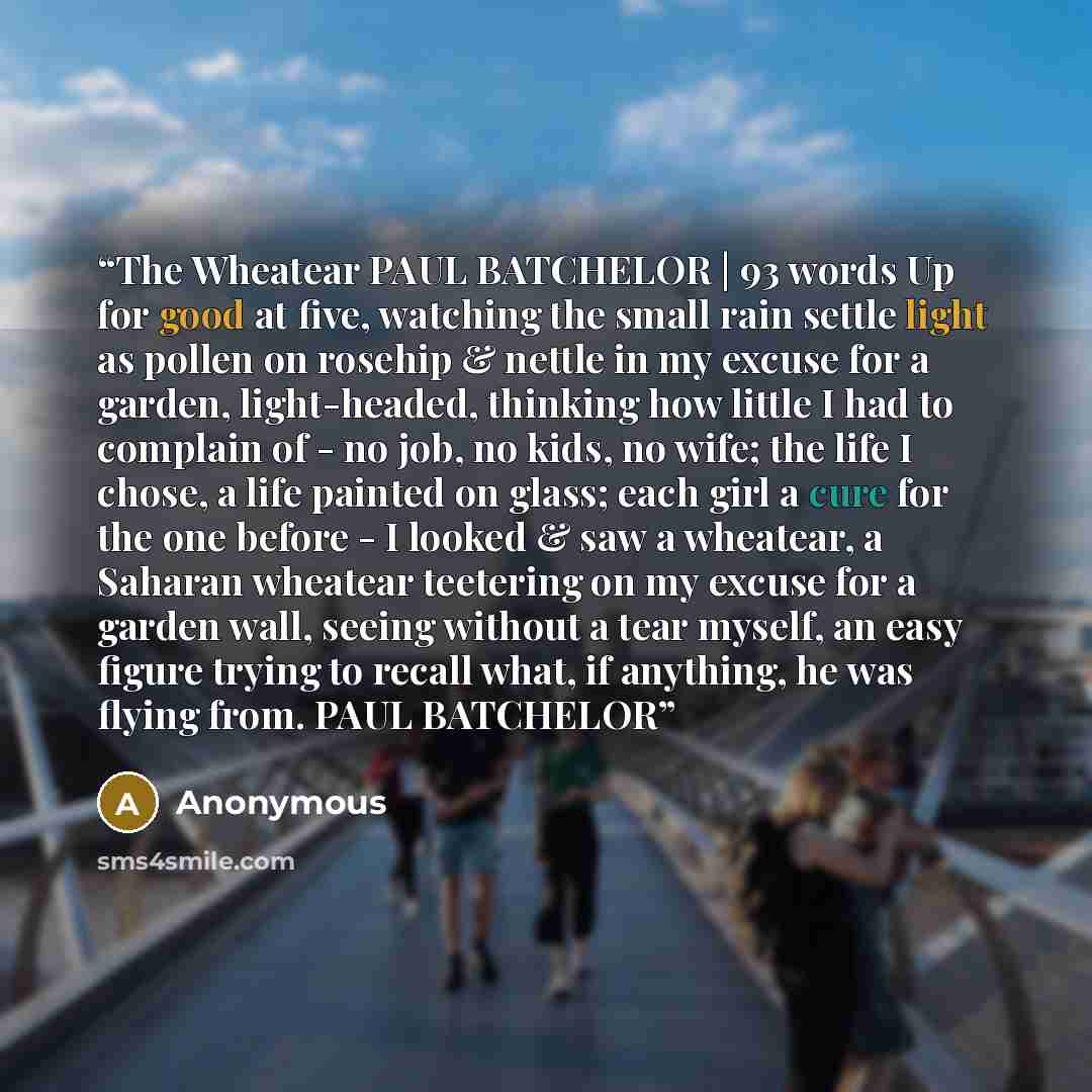 “The Wheatear PAUL BATCHELOR | 93 words Up for good at five, watching the small rain settle light as pollen on rosehip & nettle in my excuse for a garden, light-headed, thinking how little I had to complain of - no job, no kids, no wife; the life I chose, a life painted on glass; each girl a cure…” quote by Anonymous