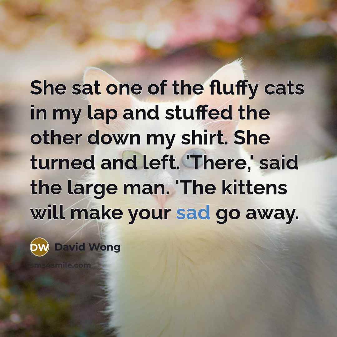 “She sat one of the fluffy cats in my lap…” quote by David Wong