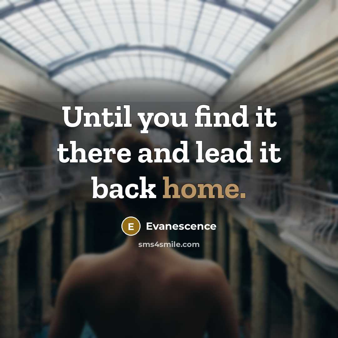 “Until you find it there and lead it back home.…” quote by Evanescence
