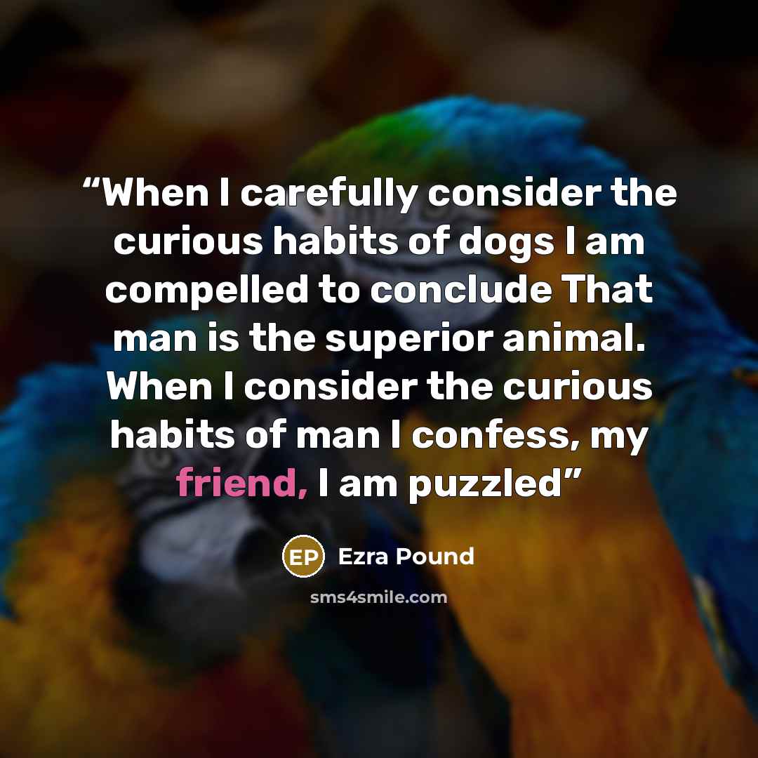 “When I carefully consider the curious habits of dogs I am compelled to conclude That man is the superior animal. When I consider the curious habits of man I confess, my friend, I am puzzled” quote by Ezra Pound