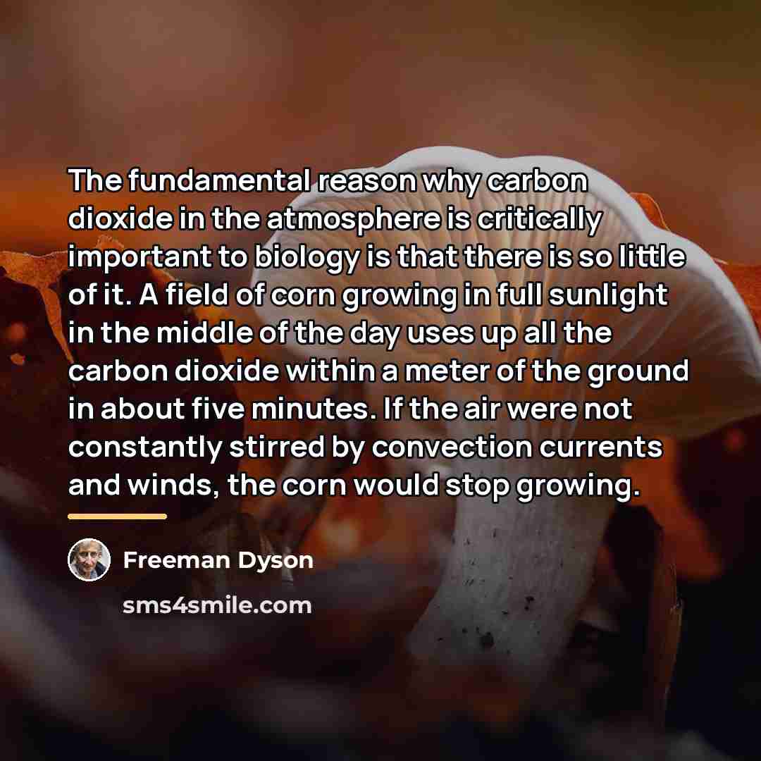 “The fundamental reason why carbon dioxide in the atmosphere is…” quote by Freeman Dyson