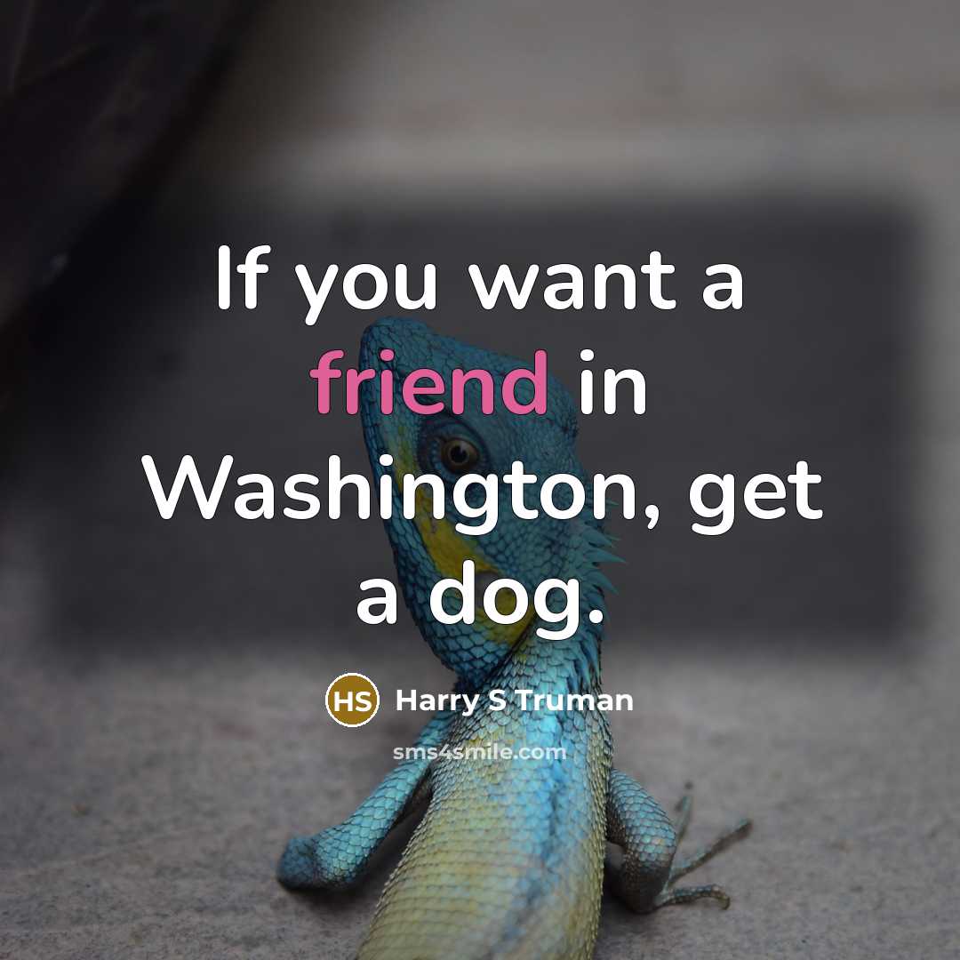 “If you want a friend in Washington, get a dog.” quote by Harry S Truman