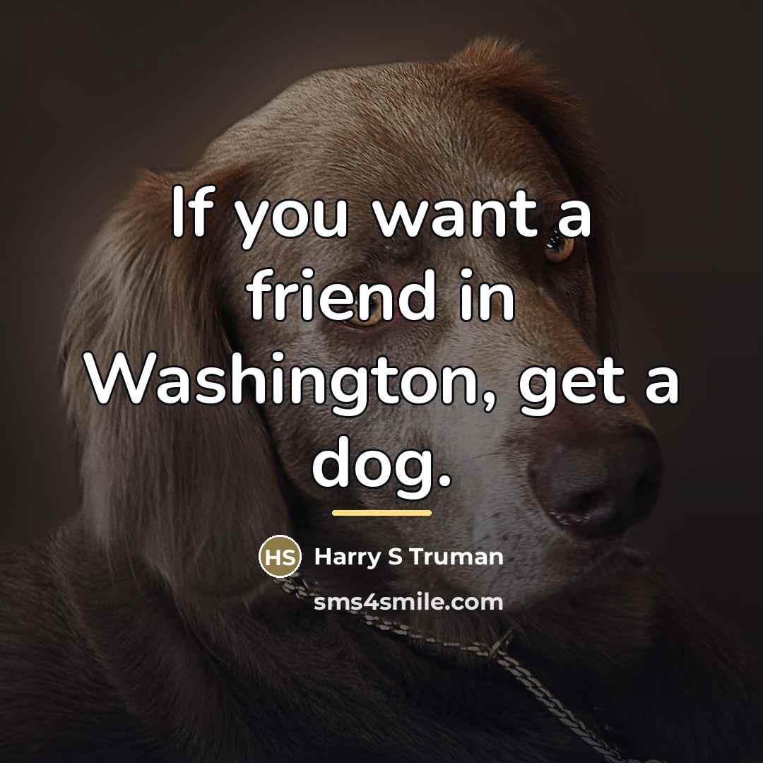 “If you want a friend in Washington, get a dog.…” quote by Harry S Truman