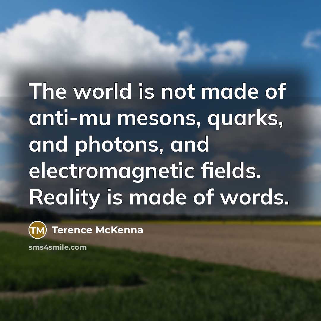 “The world is not made of anti-mu mesons, quarks, and…” quote by Terence McKenna