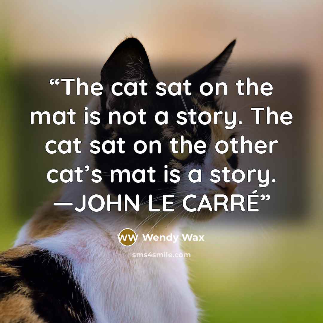 “The cat sat on the mat is not a story. The cat sat on the other cat’s mat is a story. —JOHN LE CARRÉ” quote by Wendy Wax